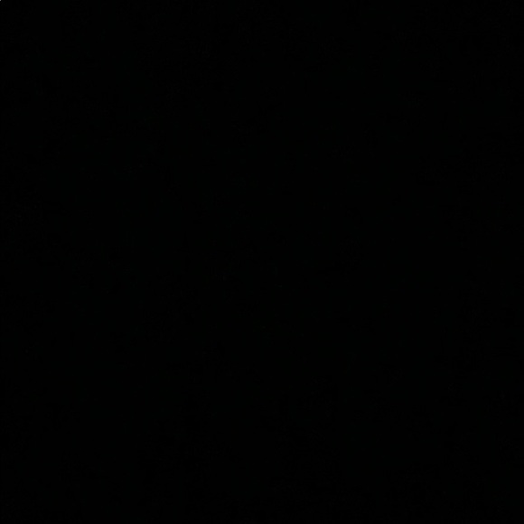 Meet your Posher, Bradly - Picture 1 of 1